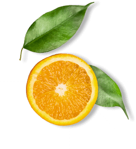Orange Slice